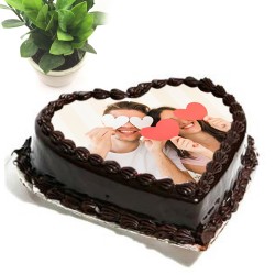 Heart shape chocolate flavour photo cake